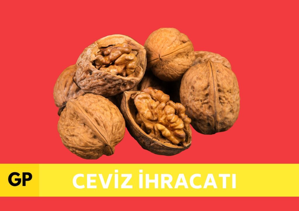 Ceviz i̇hracatı i̇thalatı yapan firmalar