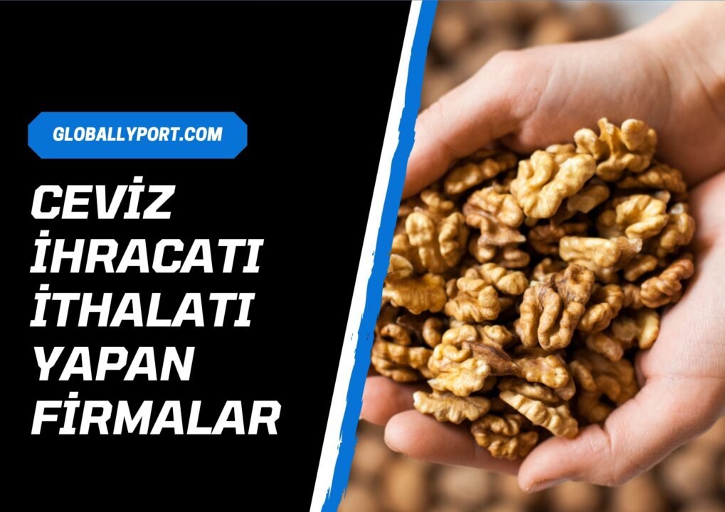Ceviz i̇hracatı yapan firmalar (nasıl yapılır)