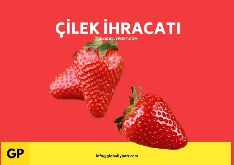Importação de morango da turquia, empresas exportadoras de produtores de morango da turquia