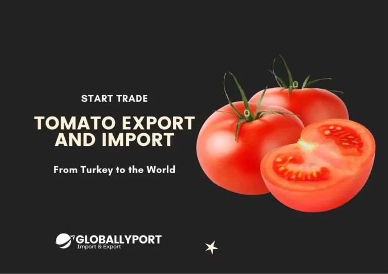 Türkei hersteller fabrikant tomaten