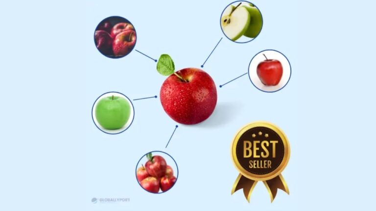 2024 fabricantes proveedores distribuidores manzanas turquía