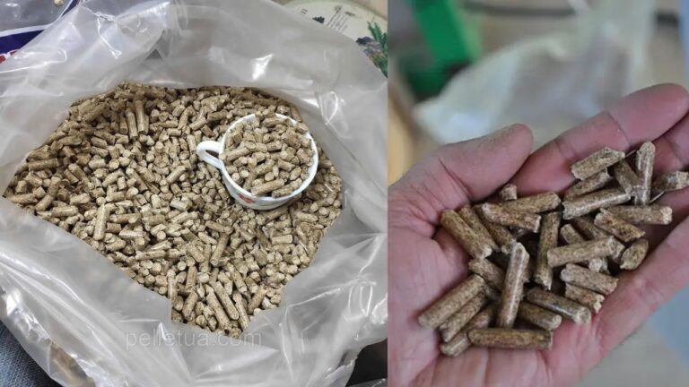 Produttore, importatori di pellet di legno all’ingrosso (certificato a1)
