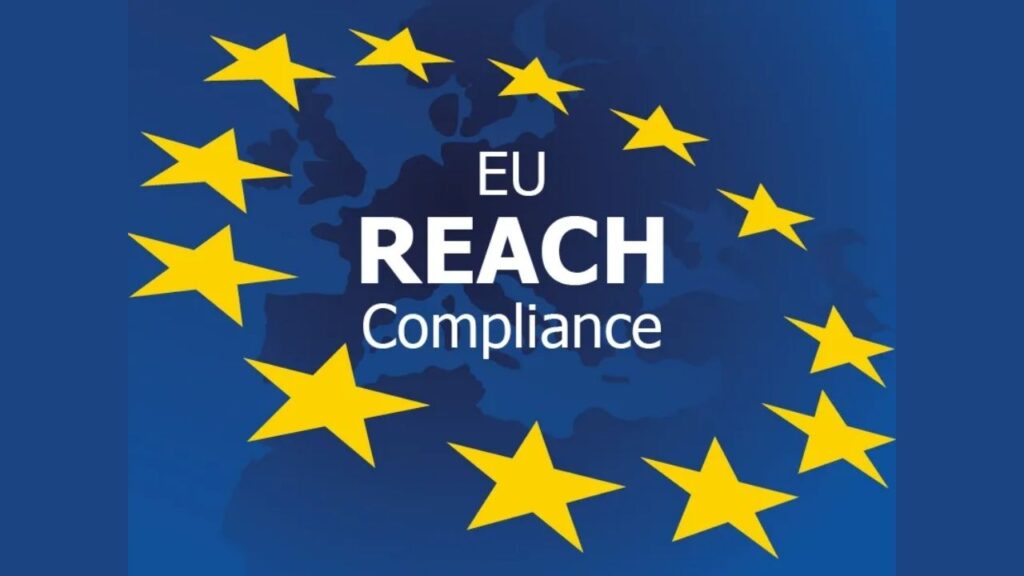 Reach belgesi nedir, nasıl ve nereden alınır (2024)