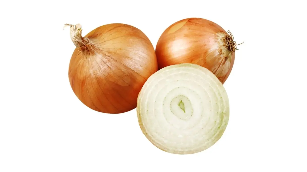 Soğan i̇hracatı i̇thalatı