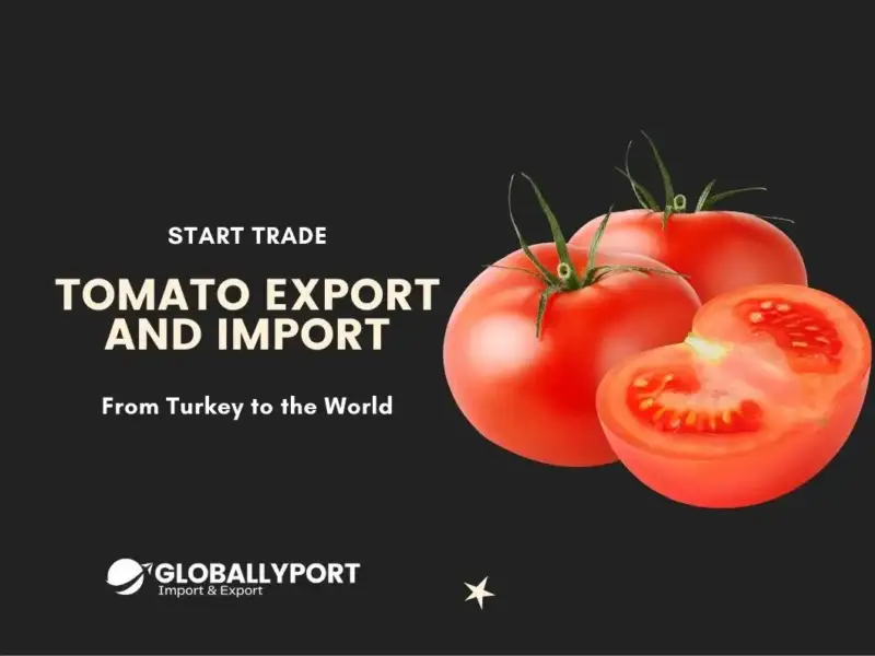 Toptan domates i̇hracatı i̇thalatı yapan firmalar, türkiye domates üreticileri
