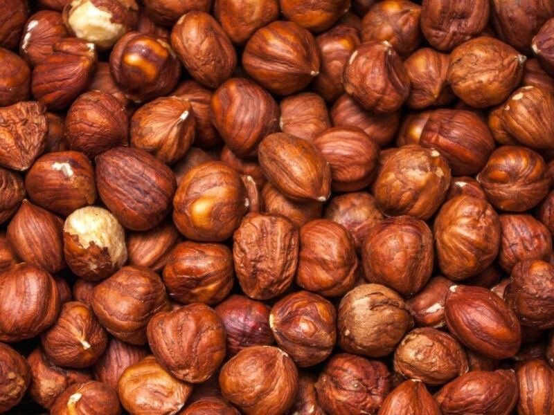 Fabricantes fornecedores avelã, empresas exportadoras de avelã por atacado