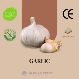 Garlic manufacturers and suppliers in turkey, wholesale garlic export