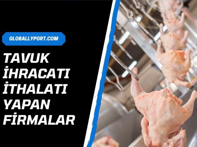 Tavuk i̇hracatı yapan firmalar 2026 - toptan tedarikçi listesi